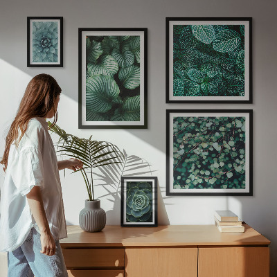 Conjunto de 5 quadros decorativos Folhas de plantas suculentas natureza