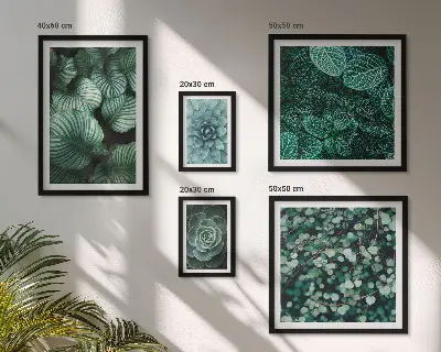 Conjunto de 5 quadros decorativos de folhas de plantas suculentas da natureza