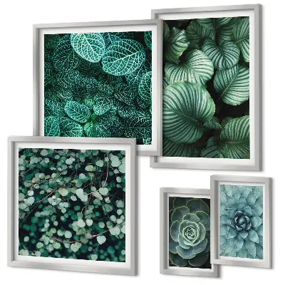Conjunto de 5 quadros decorativos de folhas de plantas suculentas da natureza