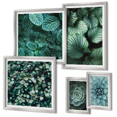 Conjunto de 5 quadros decorativos Folhas de plantas suculentas natureza
