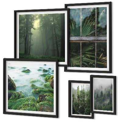 Parede galeria de quadros Paisagens verdes, florestas, vegetação