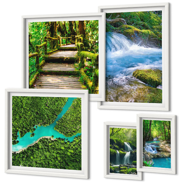 Galeria de parede Oásis verdes de paz na floresta