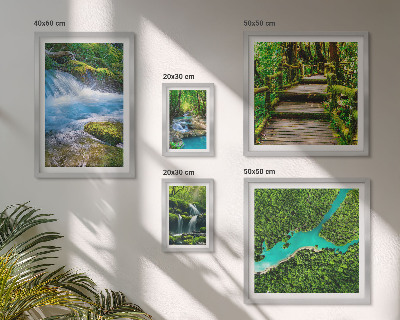 Galeria de parede Oásis verdes de paz na floresta