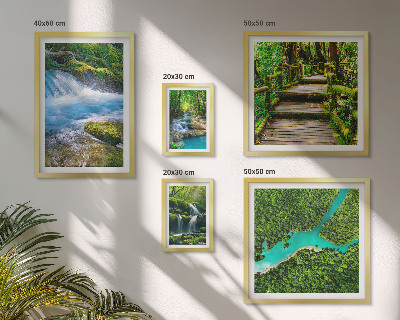 Galeria de parede Oásis verdes de paz na floresta