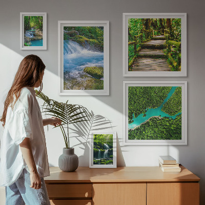 Galeria de parede Oásis verdes de paz na floresta