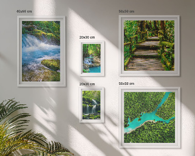 Galeria de parede Oásis verdes de paz na floresta
