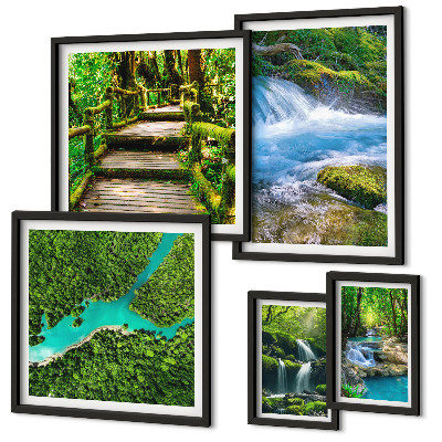 Galeria de parede Oásis verdes de paz na floresta