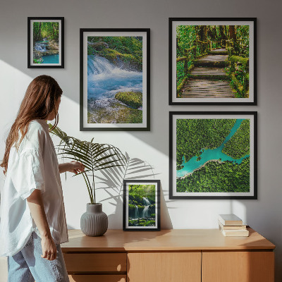 Galeria de parede Oásis verdes de paz na floresta
