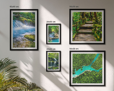 Galeria de parede Oásis verdes de paz na floresta