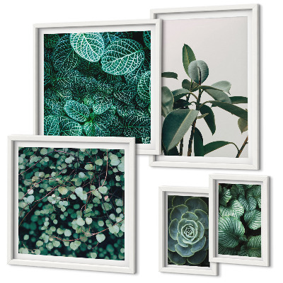 Parede galeria de quadros Motivos vegetais folhas verdes
