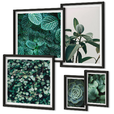 Parede galeria de quadros Motivos vegetais folhas verdes