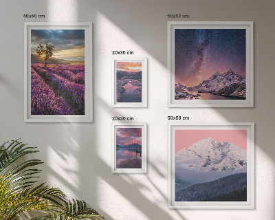 Parede galeria de quadros Paisagens naturais de montanhas de lavanda