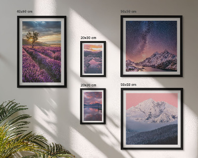 Parede galeria de quadros Paisagens naturais de montanhas de lavanda