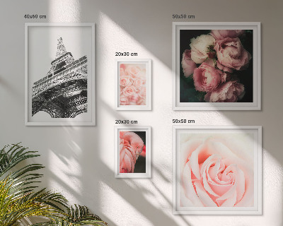 Conjunto de 5 quadros com moldura Rosas Torre Eiffel Romantismo