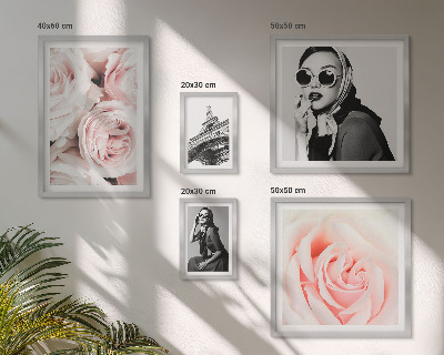 Parede galeria de quadros Retratos elegantes de rosas.