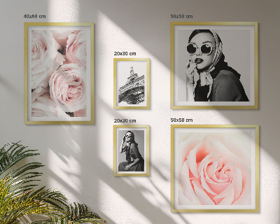 Parede galeria de quadros Retratos elegantes de rosas.