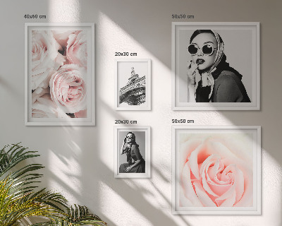 Parede galeria de quadros Retratos elegantes de rosas.