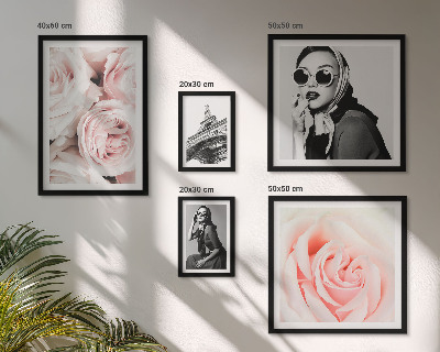 Parede galeria de quadros Retratos elegantes de rosas.