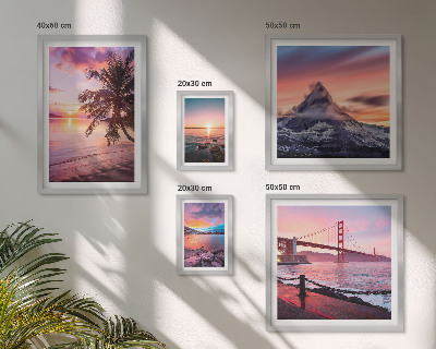 Conjunto de 5 quadros decorativos Paisagens marítimas com palmeiras