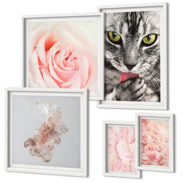 Conjunto de 5 quadros com moldura Rosas de gatos em tons delicados
