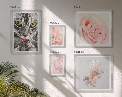 Conjunto de 5 quadros com moldura Rosas de gatos em tons delicados