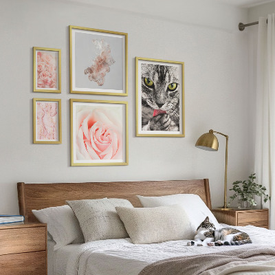 Conjunto de 5 quadros com moldura Rosas de gatos em tons delicados