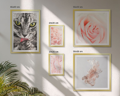 Conjunto de 5 quadros com moldura Rosas de gatos em tons delicados