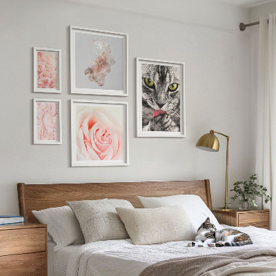 Conjunto de 5 quadros com moldura Rosas de gatos em tons delicados