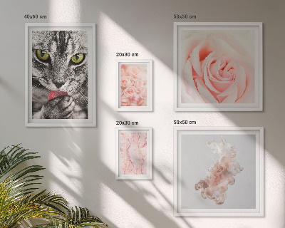 Conjunto de 5 quadros com moldura Rosas de gatos em tons delicados