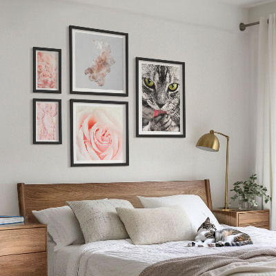 Conjunto de 5 quadros com moldura Rosas de gatos em tons delicados
