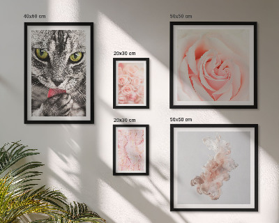 Conjunto de 5 quadros com moldura Rosas de gatos em tons delicados