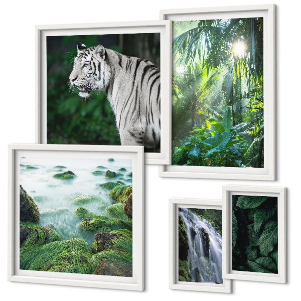 Parede galeria de quadros animais da natureza tropical