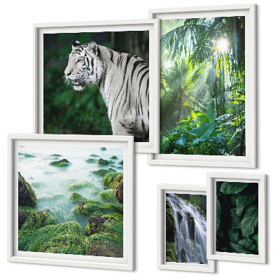 Parede galeria de quadros animais da natureza tropical