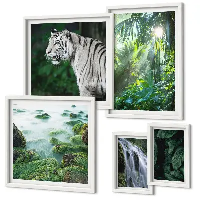 Galeria de quadros para parede tema animais da natureza tropical