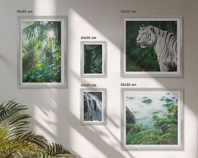 Parede galeria de quadros animais da natureza tropical