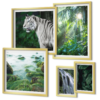 Parede galeria de quadros animais da natureza tropical