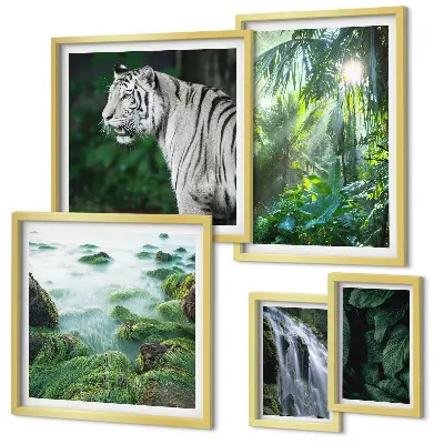Galeria de quadros para parede tema animais da natureza tropical