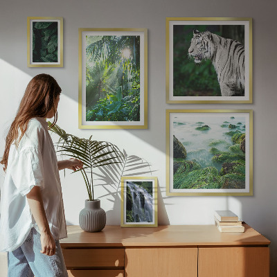 Parede galeria de quadros animais da natureza tropical