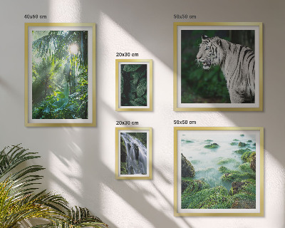 Parede galeria de quadros animais da natureza tropical