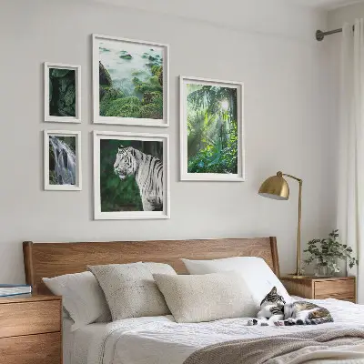 Galeria de quadros para parede tema animais da natureza tropical