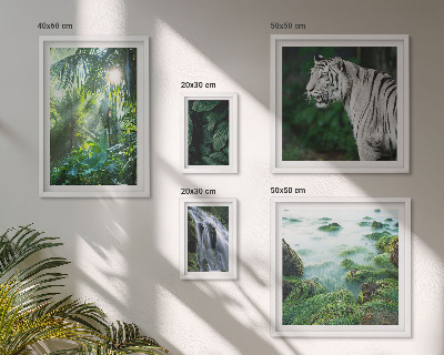 Parede galeria de quadros animais da natureza tropical