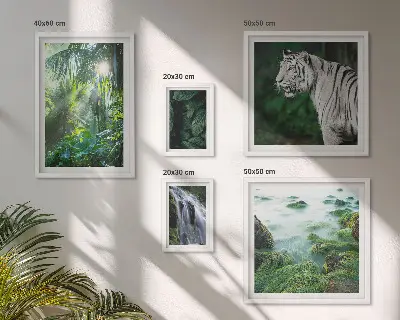 Galeria de quadros para parede tema animais da natureza tropical