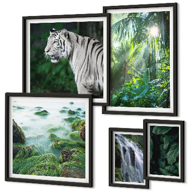 Parede galeria de quadros animais da natureza tropical