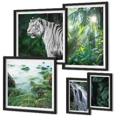 Galeria de quadros para parede tema animais da natureza tropical