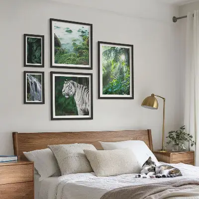 Galeria de quadros para parede tema animais da natureza tropical