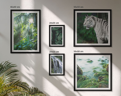 Parede galeria de quadros animais da natureza tropical
