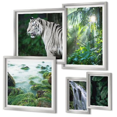 Parede galeria de quadros animais da natureza tropical