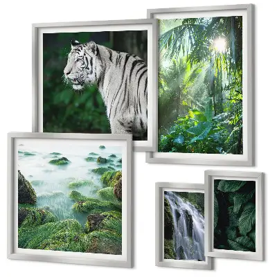 Galeria de quadros para parede tema animais da natureza tropical
