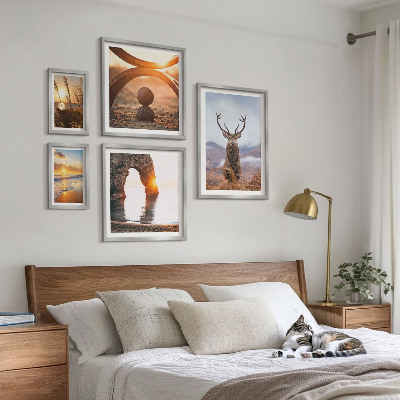 Conjunto de 5 quadros com moldura Animais selvagens da natureza em harmonia