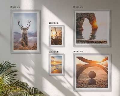 Conjunto de 5 quadros com moldura Animais selvagens da natureza em harmonia